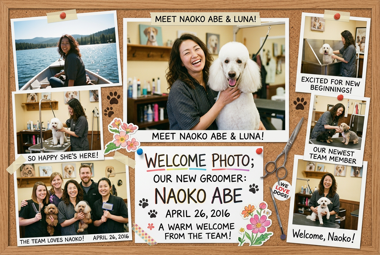 Puff n Fluff Pet Spa