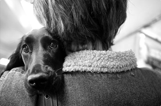 Al a Carte and Add – ons